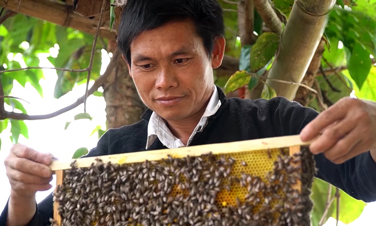 Pêi cheăng châ xo hên liăn ing păn oăng xo têa kơdruâ ƀă pêt krui kơxái, rơpŏng hngêi ngoh Phàn Diếu Hồ hiăng chêh đơn pâ lo ing inâi rơpŏng kơtiê