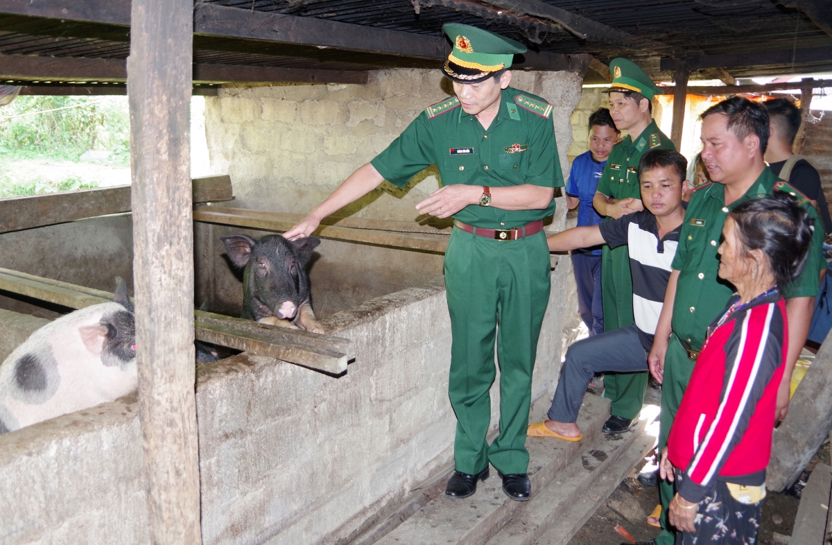 Bộ đội Biên phòng tỉnh Quảng Nam hỗ trợ con giống cho người dân