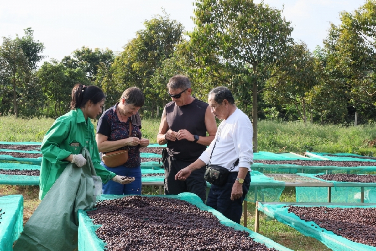 Rế hía rế hên khu tê mơdró pêt kơphế dâi lĕm