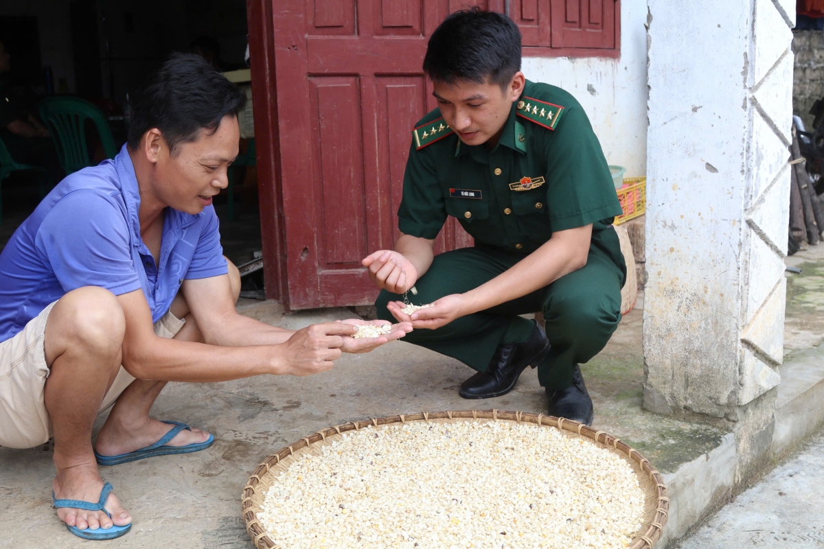 CBCS Đồn Biên phòng Ba Sơn đã phát động nhiều mô hình hay và
hiệu quả như "Lũy tre biên giới Việt", hỗ trợ cây giống, con giống,
chuyển giao kỹ thuật trồng, chăm sóc cây cho người dân...
Ảnh: Nguyễn Hoàng Duy Thái/VOV Đông Bắc