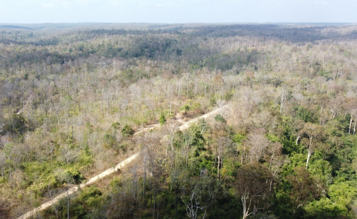 Kong pơlê Dak Nông nôkố ối dâng 249.000 ha kong, tung mê vâ chê 200.000 ha kong ki chiângx êh