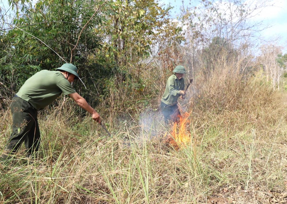 
Cau tờm brê tàm càr Dăk Nông “chu rŭ rơm” rcang lài kơryan ồs sa brê