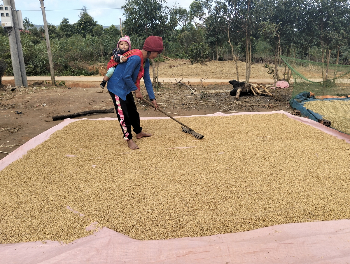 Kde Kông hiăng phâi tơtô