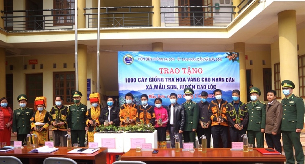 Đồn Biên phòng Ba Sơn trao tặng 1000 cây giống trà hoa vàng
cho nhân dân xã Mẫu Sơn, huyện Cao Lộc, tỉnh Lạng Sơn.
Ảnh: Nguyễn Hoàng Duy Thái/VOV Đông Bắc