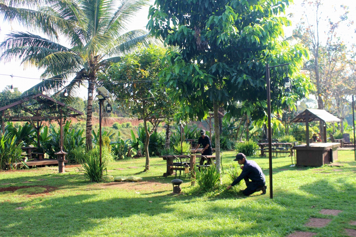 Dôm anih tơmang pơhiơ̆, hơmet tôm tơdrong tơ̆ cham pơhiơ̆