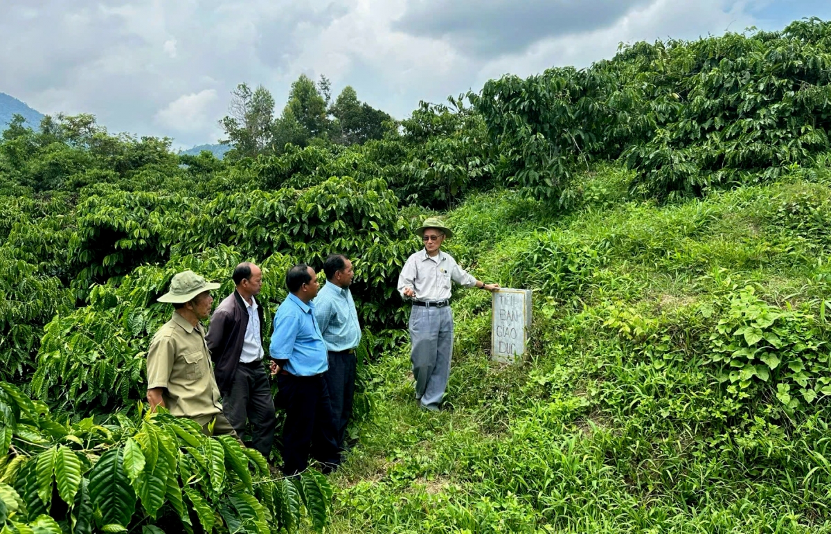 Ồng Hà Ngọc Đào (cau sơnrờp đah ma) tus wơl tiah tam lơh lài do tơnơ̆ mờ nggùl rài dà lơgar geh tơnklàs