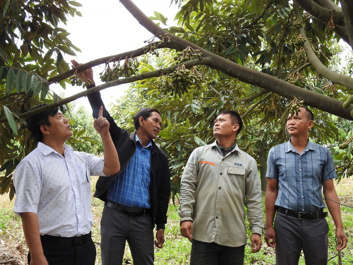 
Đảng ƀô̆ tơring Rờ Kơi, apŭng Sa Thầy pơrô̆ iung jang lang să trong jang pơtăm sâu riêng tĕch mơdro tơ̆ teh đak đe.