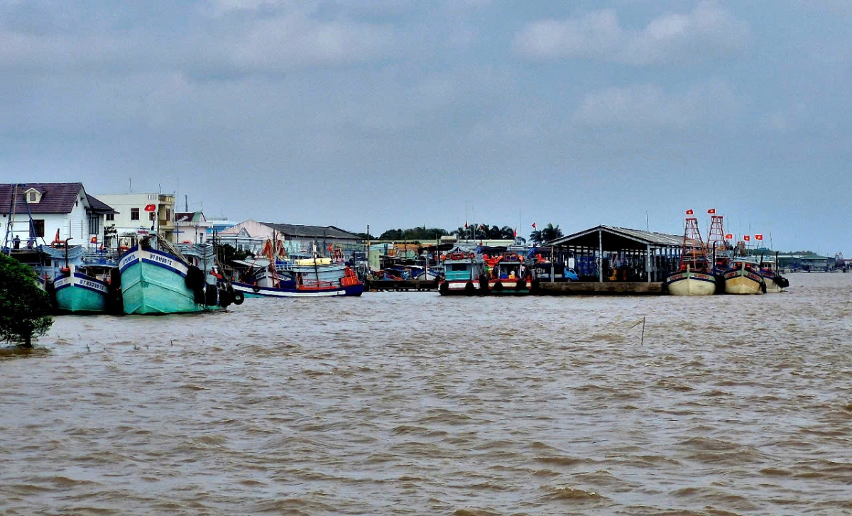 Khu vực Cảng cá Trần Đề