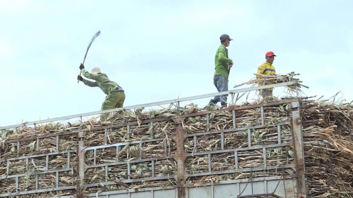 
Kon pơlei proh hơmet kơtao vă chơ truh hnam kơmăy