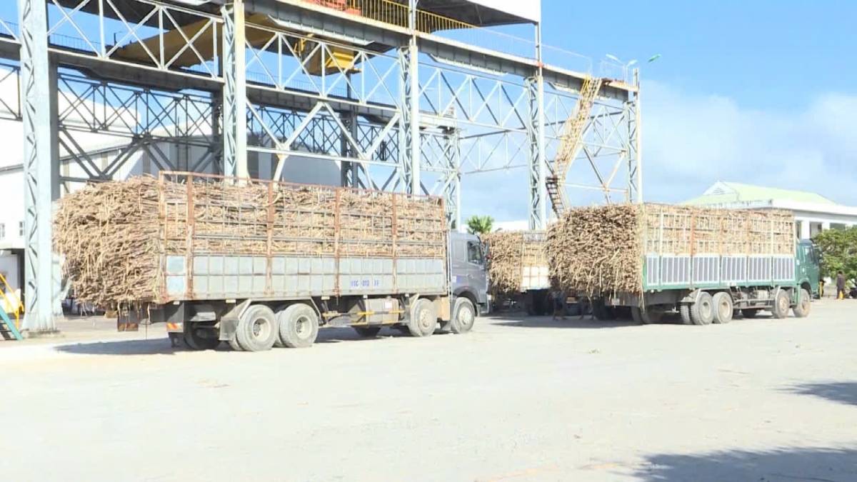Kơtếo hiăng châ djiân a hngêi kơmăi vâ uâ