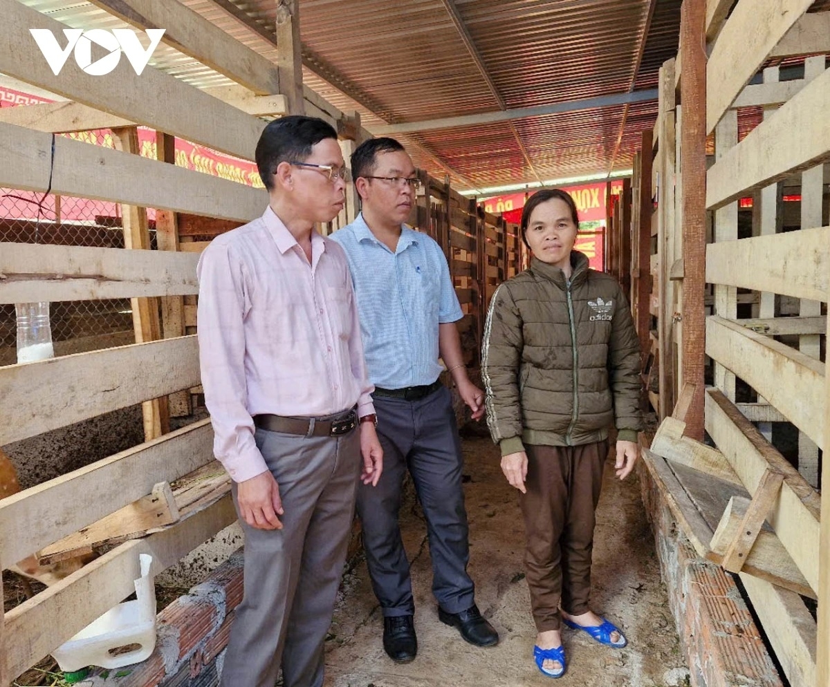 Cán bộ khuyến nông tham quan mô hình nuôi hươu sao lấy nhung của gia đình chị La Thị Sâm