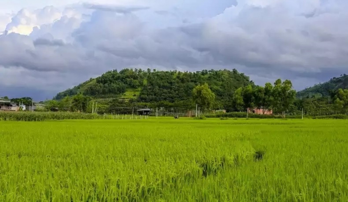 Ngo on Băng Mo