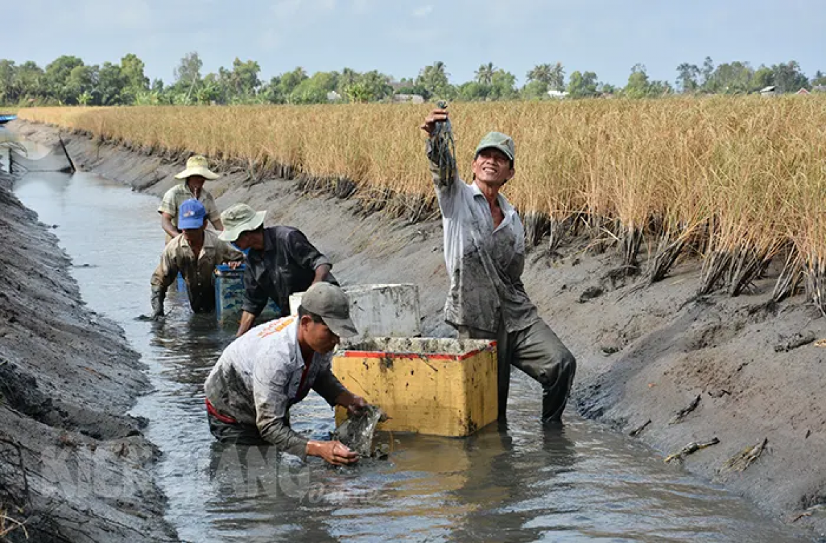 Rahra xa Vĩnh Thuận mek hadang giraong hijao raong di angaok hamu padai.