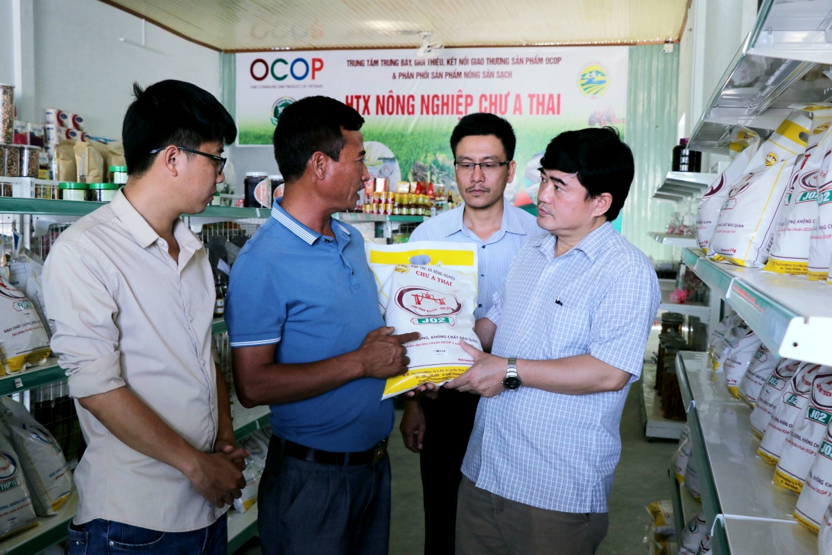 Măt kă bro "Phe Phú Thiện" geh pơnrơ ngan tàm drà kă bro