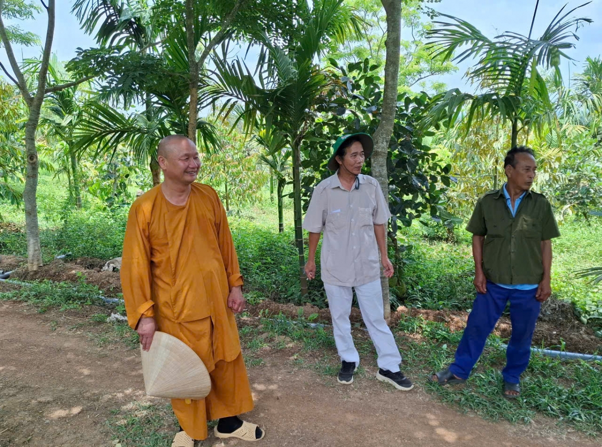 - Thượng Tọa Thích Đạo Ứng hlăm đang boh durian mơ̆ng Thiền viện Trúc Lâm Từ Giác.
