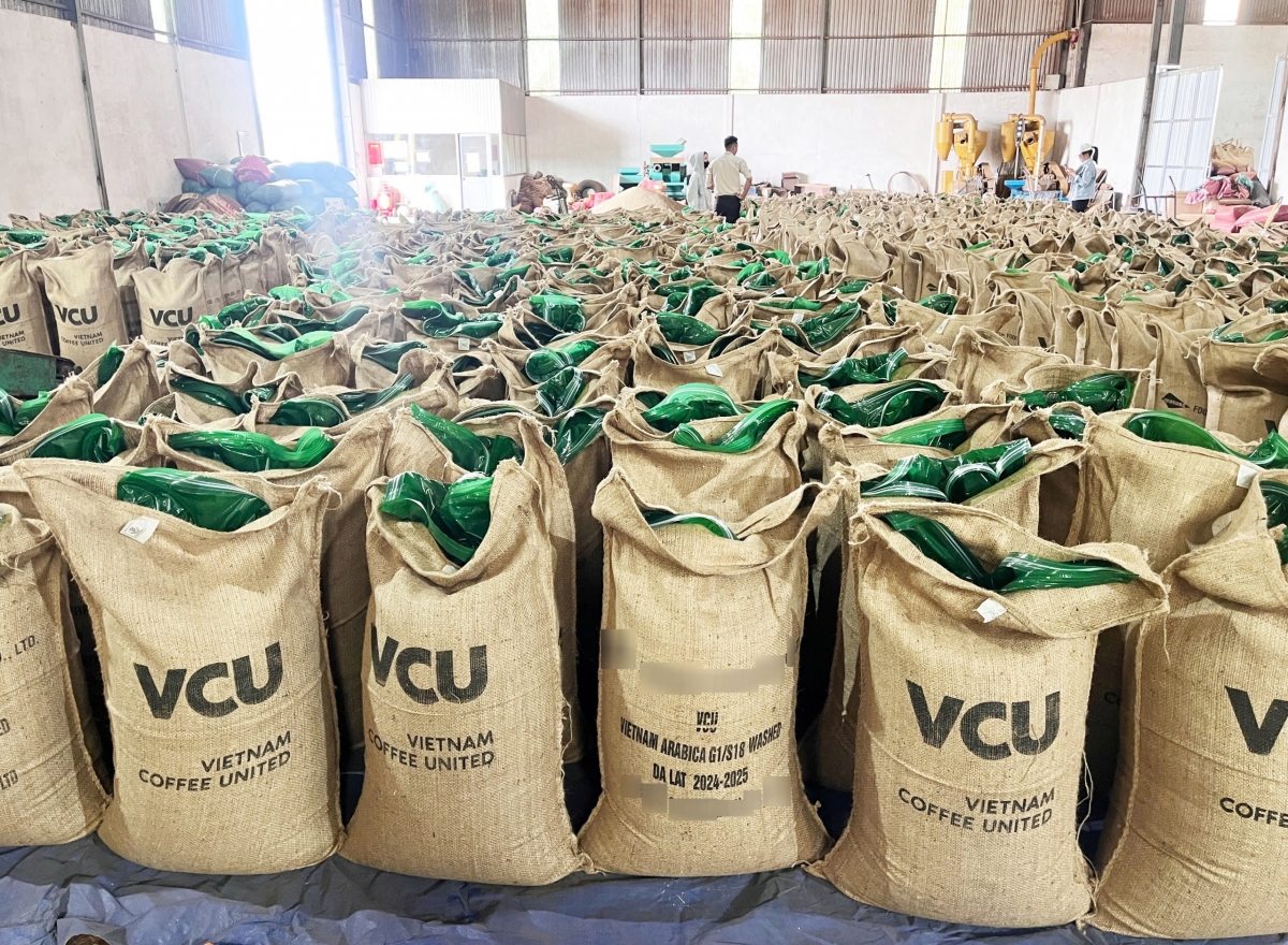 Pơ’leăng kơphế Robusta ki dâi lĕm châ tê mơ’no troh a kong têa vâi ê