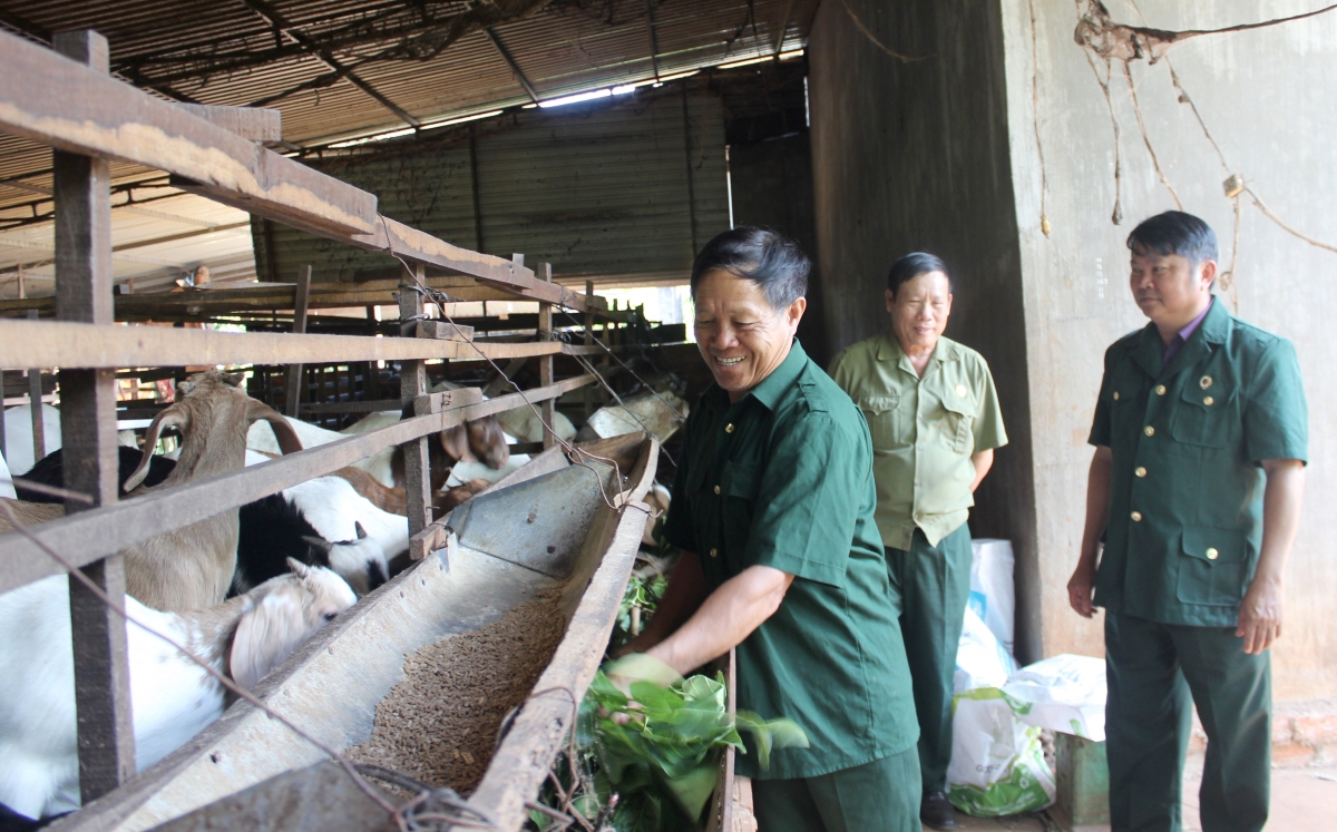 Cau ling ồng Nguyễn Trung Thành (đah kiau) lơh geh priă jền tơmàn bơh broă lơh ròng phan mờ tam phan tàm pơdar