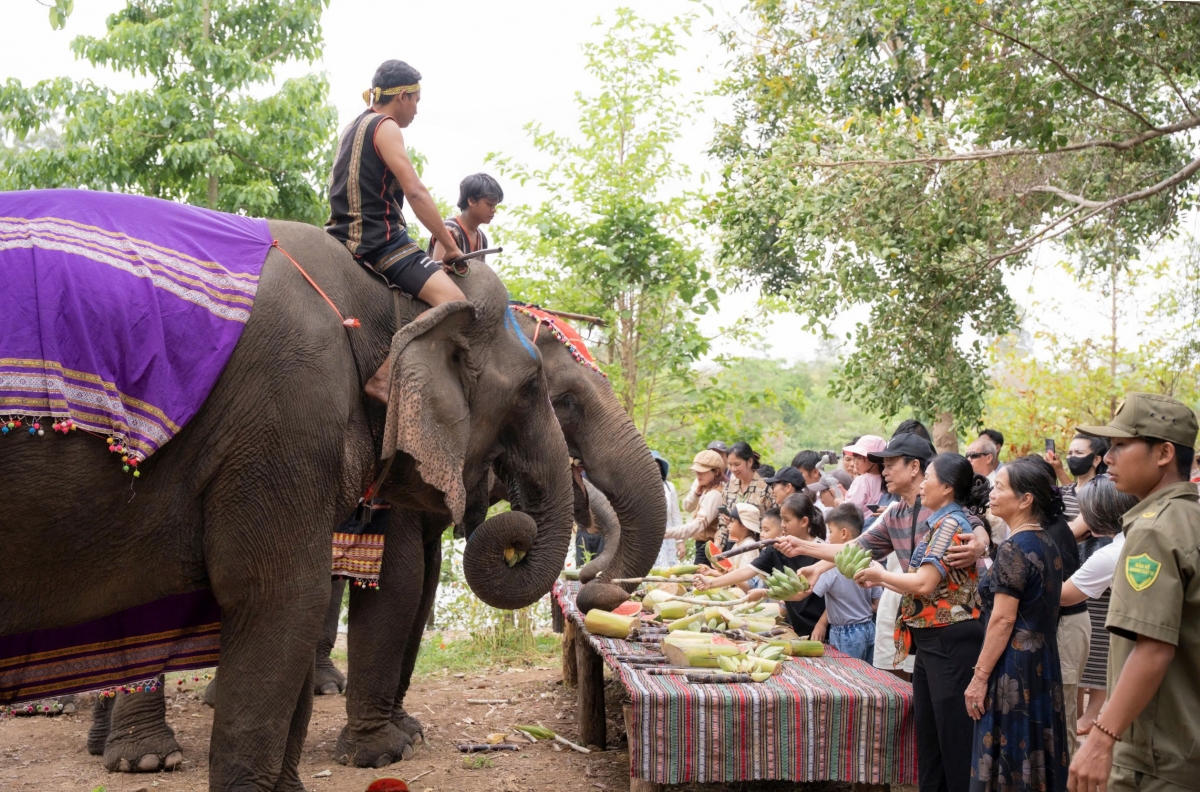 Cau năc lòt nhơl geh "sền ù tiah kơnhoàl Buôn Đôn bơh đang kơl wàng trồ" Tàm ngai ơm rơlô 30 nhai 4 tus