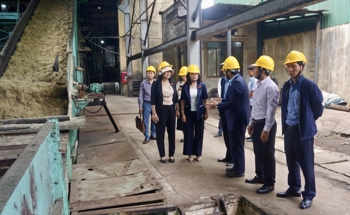 Kông ty Tào sơdàng 333 Dăk Lăk gam lơh pràn broă lơh mờ măi mok lơh broă is