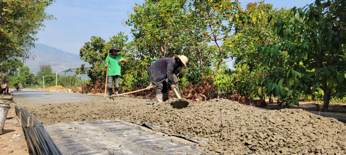 ‘Ngoaih dôm hơnih ming man tơm, rim tơdrong vă jang tơ̆ tơring jei tĕnh koăng đei pơtrŭh iung jang kơtang vă tơlĕch ăn kon jên jang teh đak tơmơ̆t jang