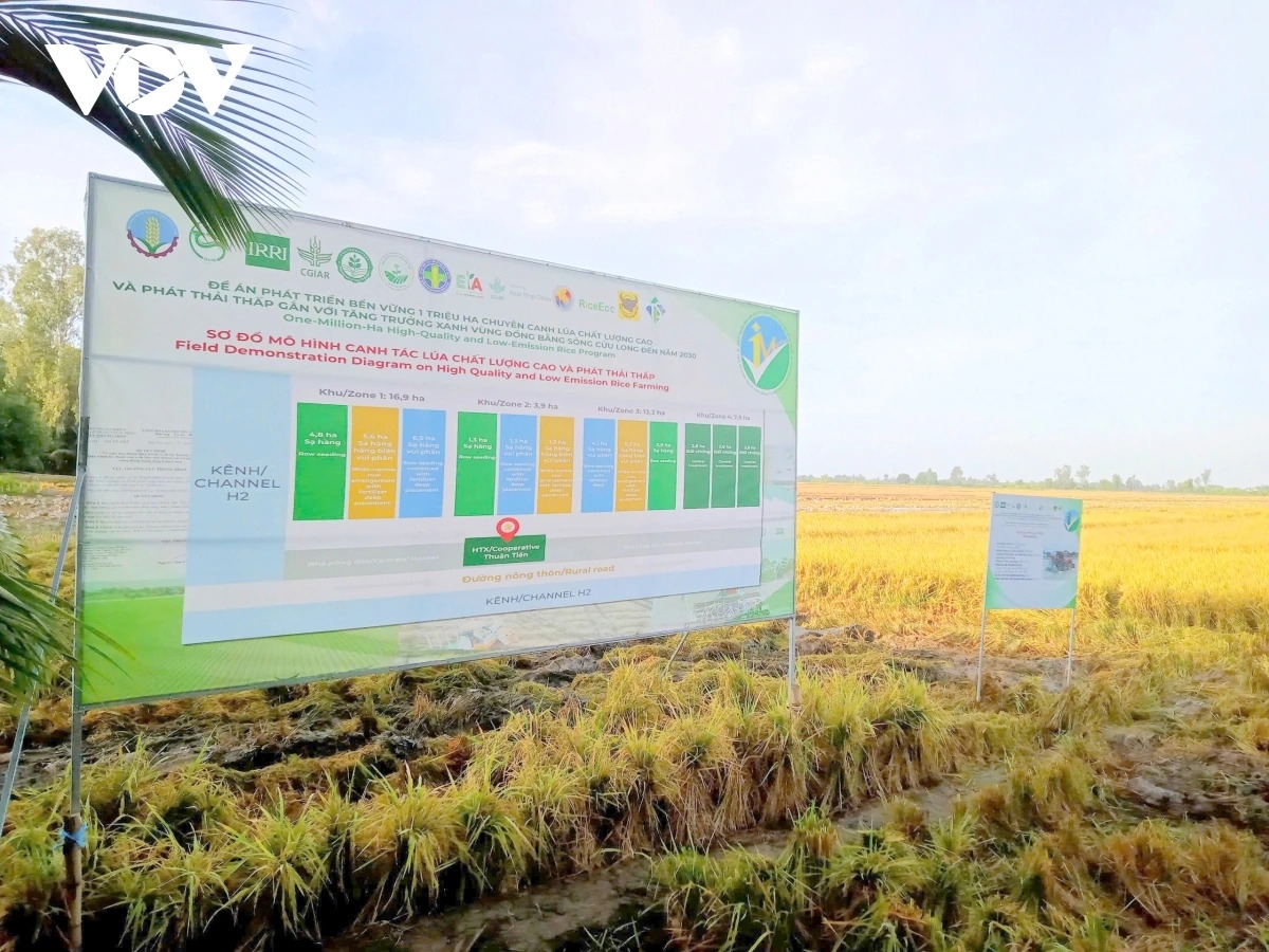 Đề án 1 triệu ha lúa gạo chất lượng cao, phát thải thấp ở vùng ĐBSCL.