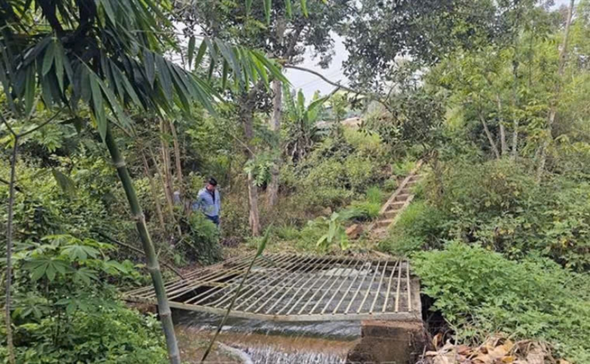 Dà geh tam pà bơh tơnau Tây (tiah tờm kơnhoàl Dăk Mil, càr Dăk Nông) rê hờ ƀòn Xri, sàh Dăk Lao, kơnhoàl Dăk Mil nàng dong làng bol drơng mờ trồ prang soăt dà ai chi tam in