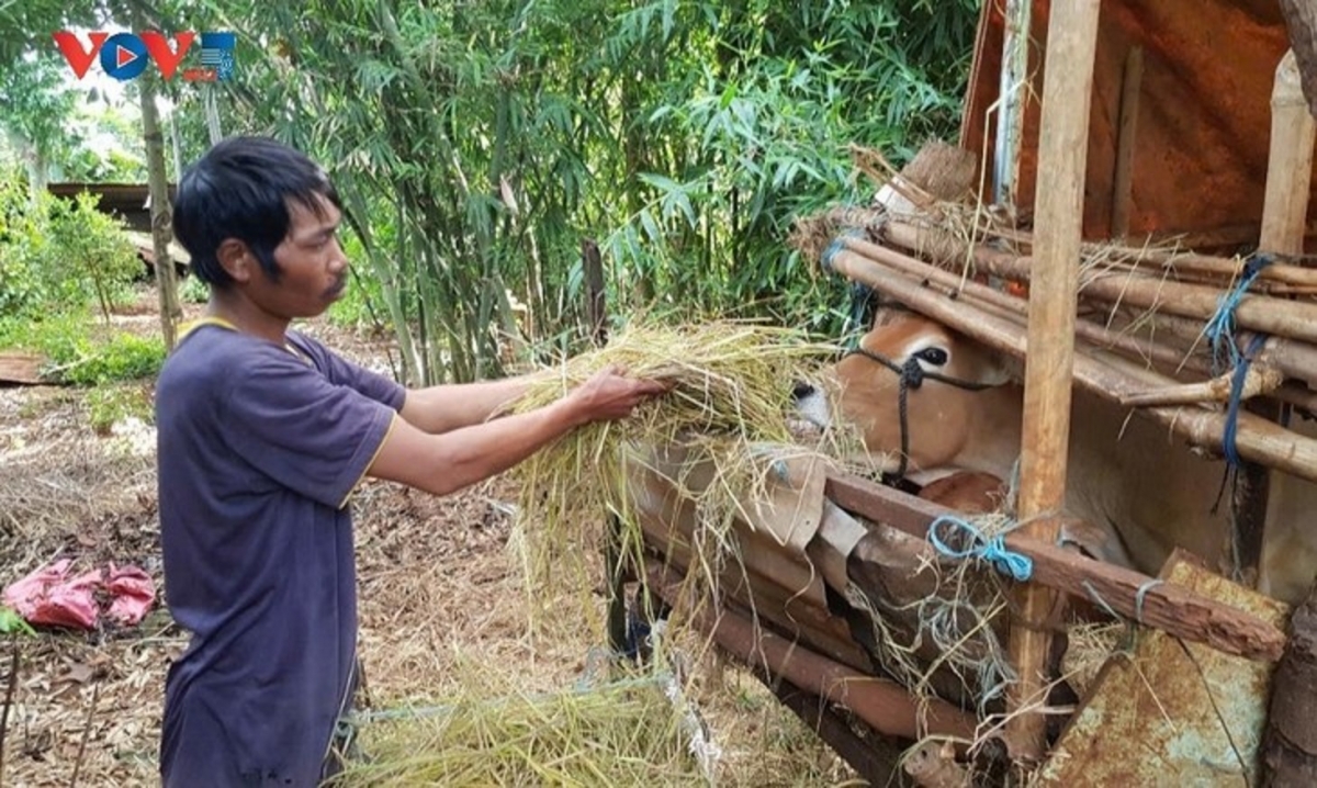 Rơtế ƀă tơdroăng ki hbru ăm ro, kăn ƀô̆ cheăm ối hnê ăm kih thuât păn ƀă hbrâ mơdât pơreăng, gum vâi krâ nhŏng o păn châ mơnhông tơƀrê