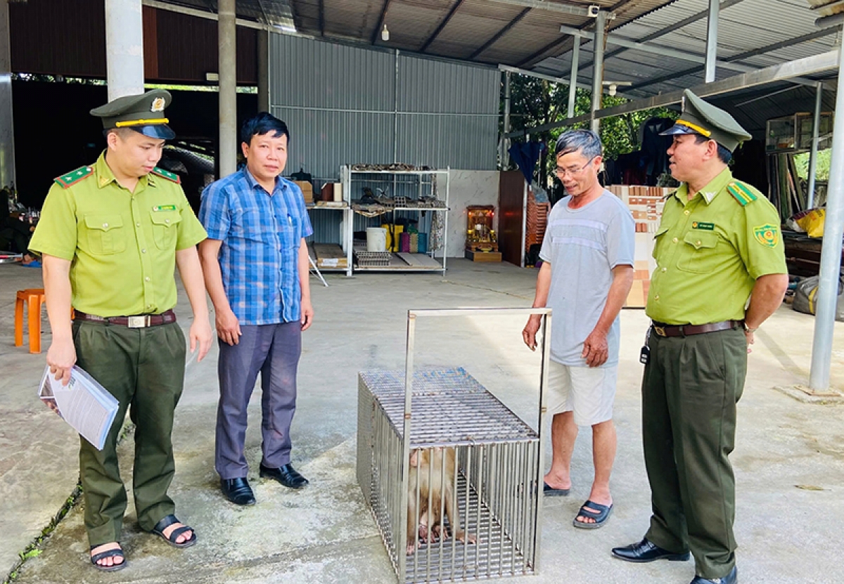 Bhot arâl t'mêê bơơn Hạt Kiểm lâm Tuyên Hóa lâng đha nuôr pa đơp đoọng ooy Trung tâm trôông dâc, zư đơc lâng pa dưr ađhăh dzăm. Cha nup: Báo Quảng Bình