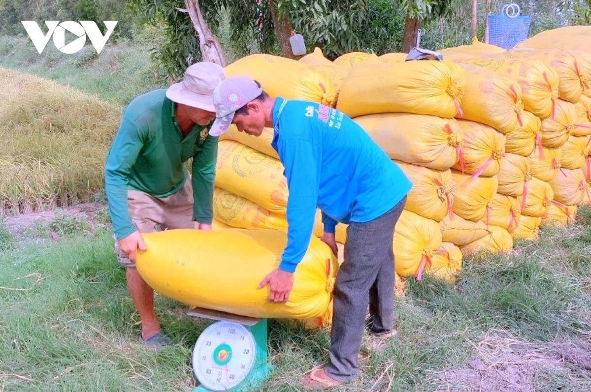 Liên kết hợp tác giữa người dân và HTX, doanh nghiệp được xem là bài toán then chốt để khẳng định nông sản của vùng.