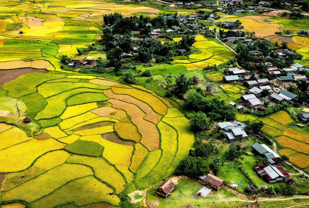 Ki lĕm dêi rơnó báu tum kơpong thôn pơlê Kon Plông