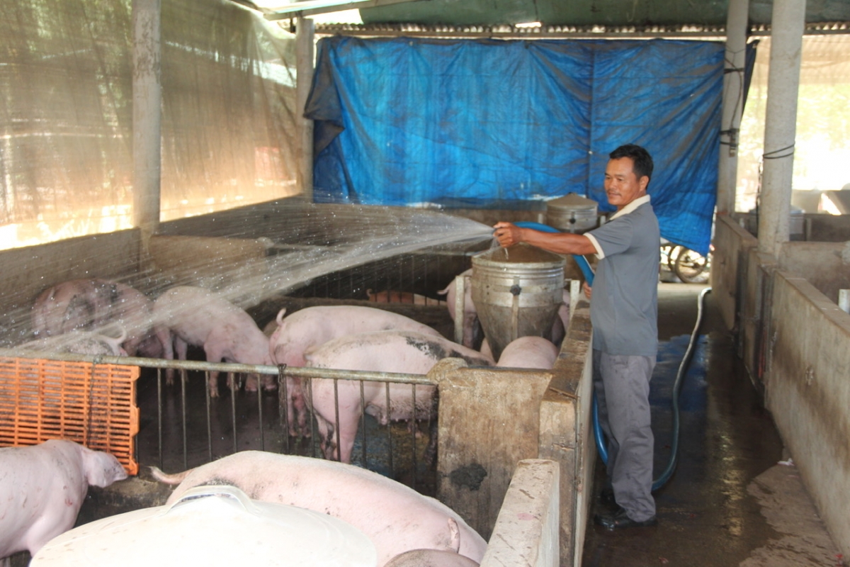 Geh bơta sền gròi bơh Dà lơgar dê, làng bol jơi bơtiàn neh khin cha bơcri priă bơtàu tơnguh lơh sa