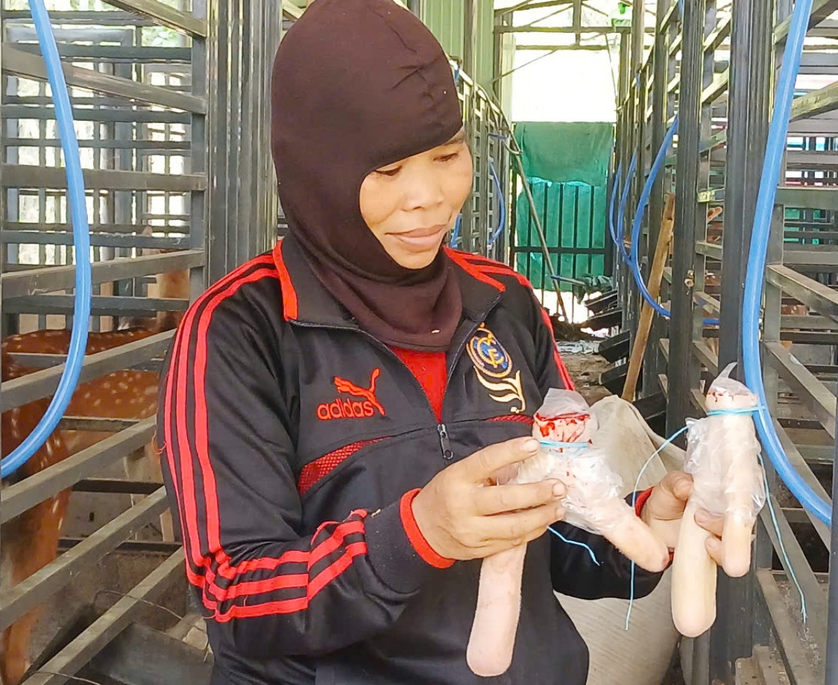 Hên rơpŏng a tơring Nam Giang pêi lo liăn chía tơniăn sap ing hâi păn chiu