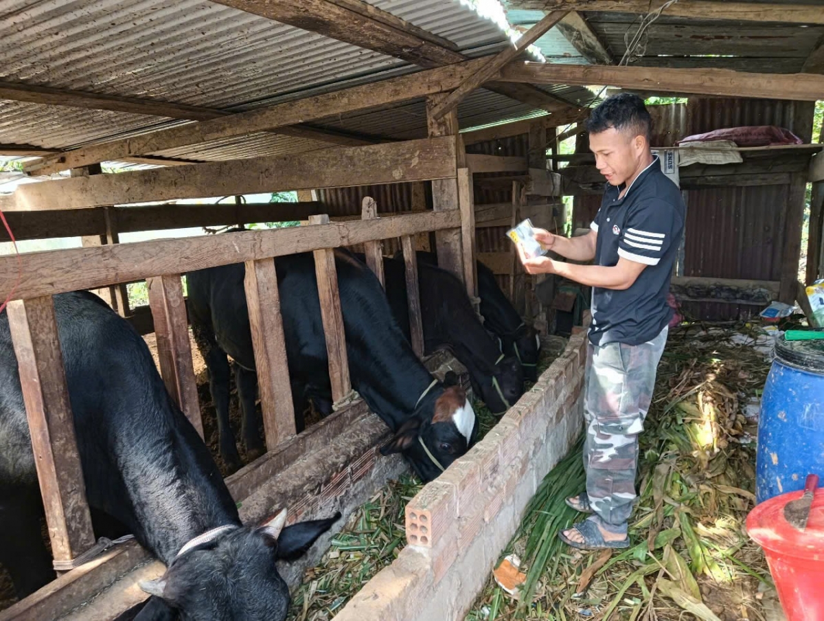 Krơh cau lơh broă sa là cau jơi bơtiàn dồ êt nă cau ròng kơn rồ nàng tơnguh priă lơh geh tàm Lạc Dương