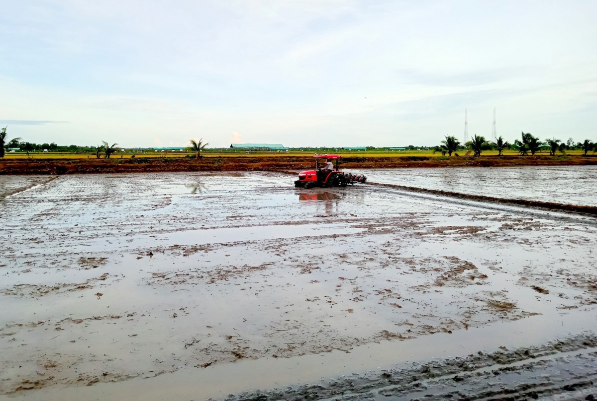 Nông dân vùng ĐBSCL ứng dụng khoa học kỹ thuật trong sản xuất nông nghiệp