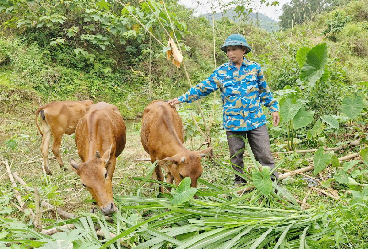 Yua mơng bruă rông hlô, pla boh troh, ơi Ka Phu Beng dŏ amăng tơring glông Nam Giang dưi pơklaih mơng ƀun rin