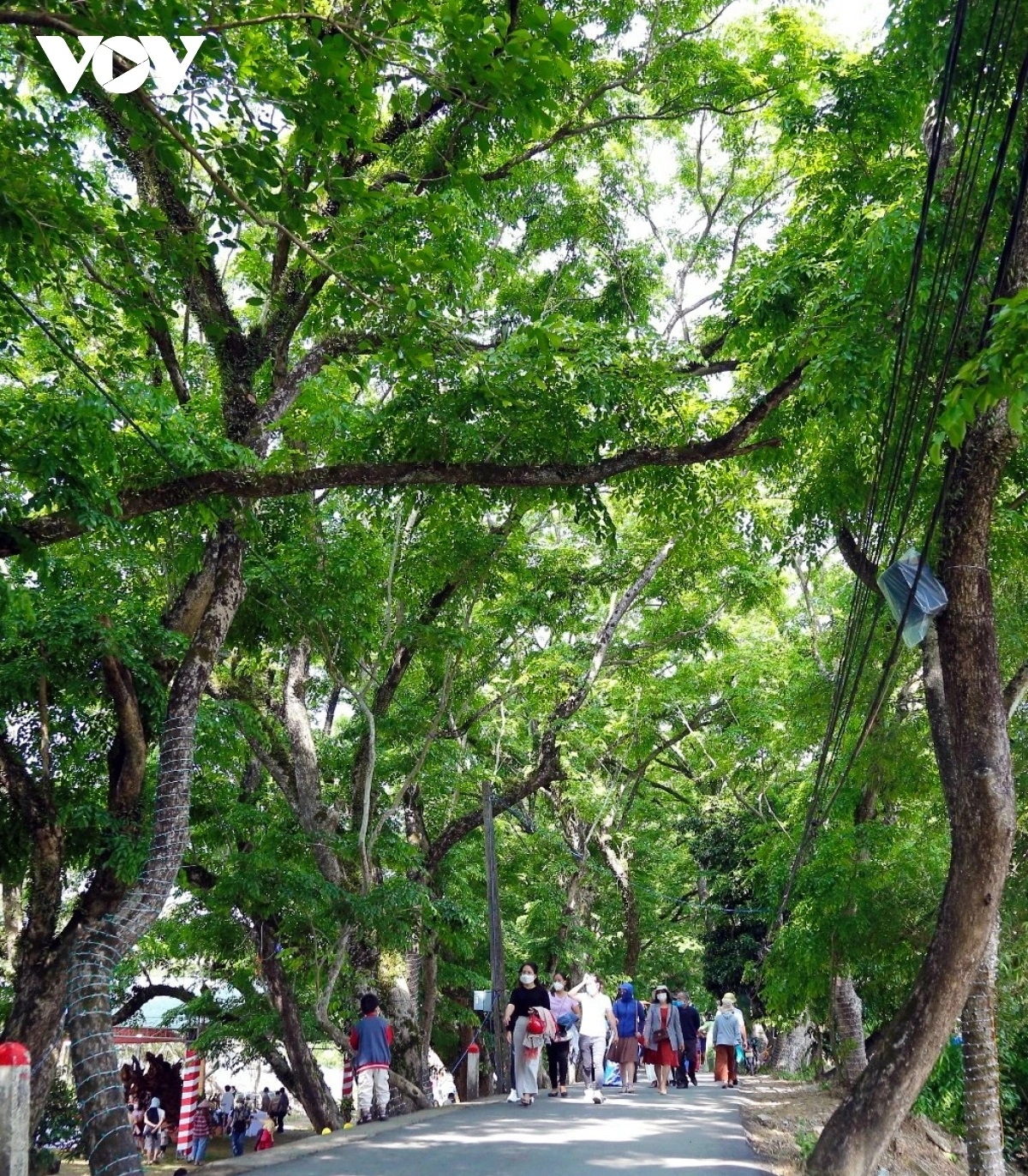 Đa số cử tri Quảng Nam mong muốn tên đất, tên làng cũ trước đây sẽ được dùng để đặt tên đơn vị hành chính mới thay vì đánh số thứ tự.