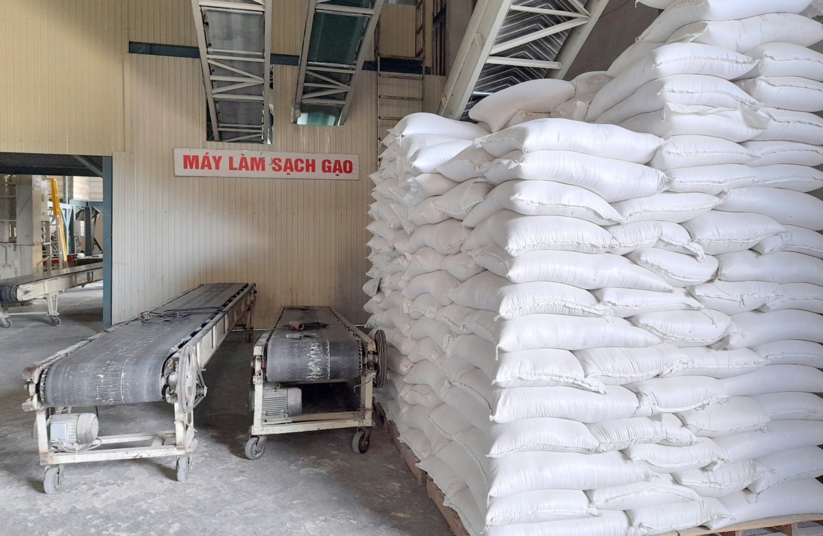 Sản xuất, kinh doanh lúa gạo ở vùng ĐBSCL