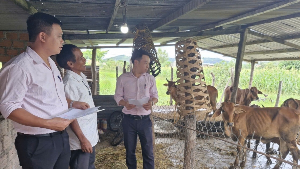 Tây Nguyên tơgŭm hơdrol jên tŏk iŏk tơgŭm vă hơtŏk tơiung mŭk drăm