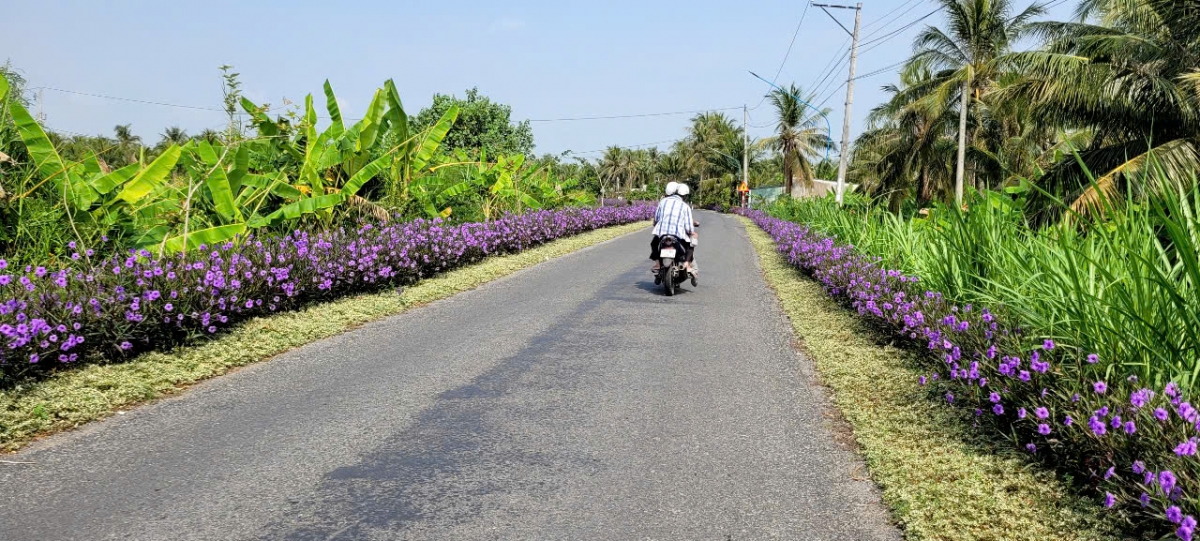 Gùng lòt tàm ală tiah ngài, tiah bồt bơh càr Tiền Giang dê geh lơh dờng niam