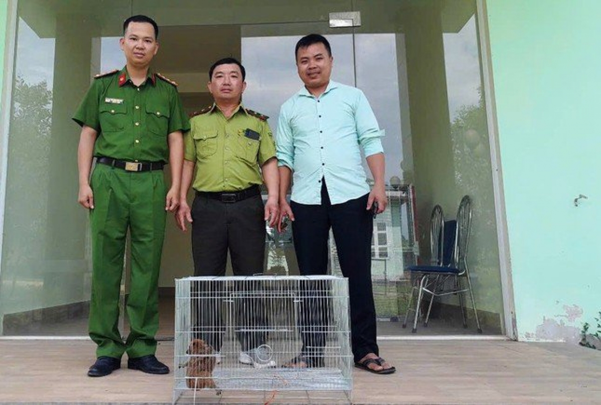 P'nong cu li k'tứi pr'hăt chr'năp bơơn đha nuôr tươc pa đơp ha coq quan kiểm lâm