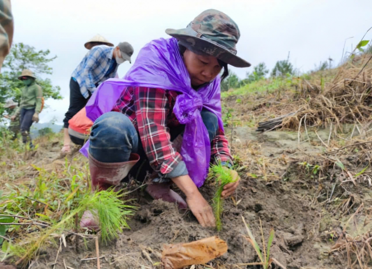 Pok phun pla kyâo ƀơi Gia Lai djru gôm lŏn glai