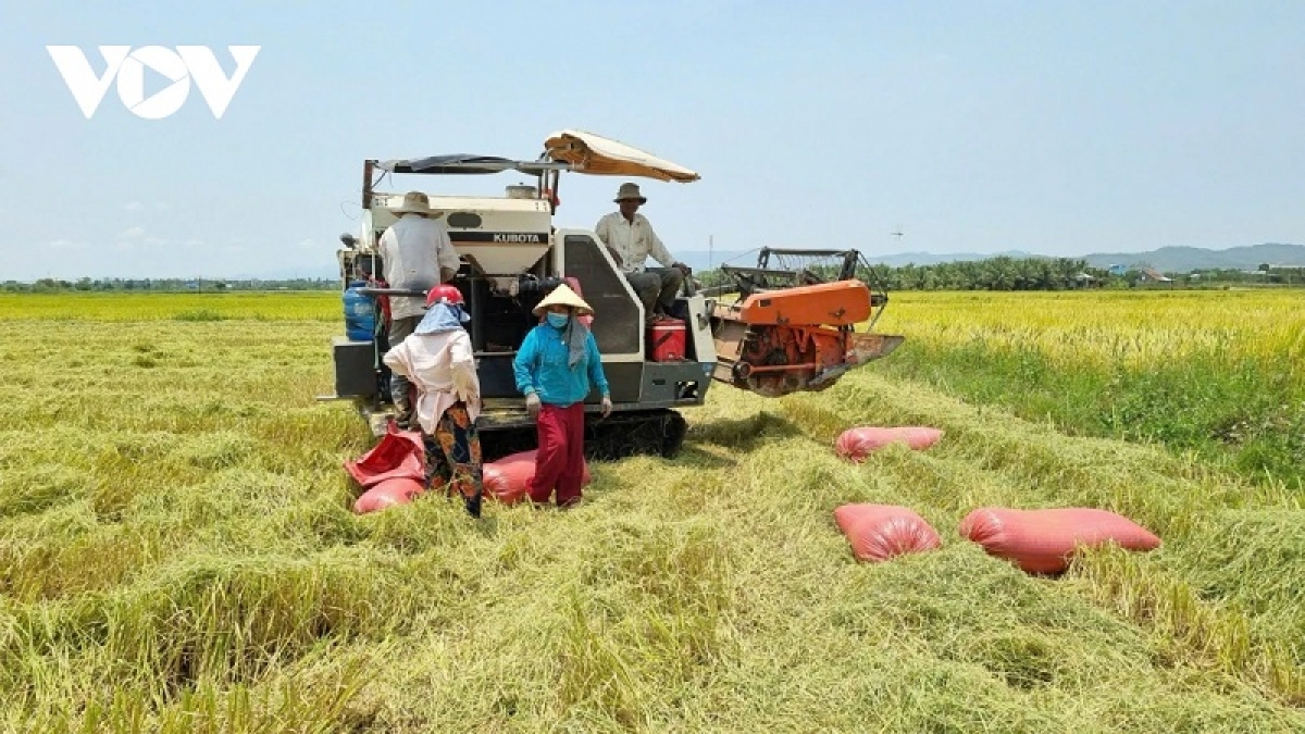 Bineik ia Ayun Hạ ba ia ka mikva hamu padai hu siam