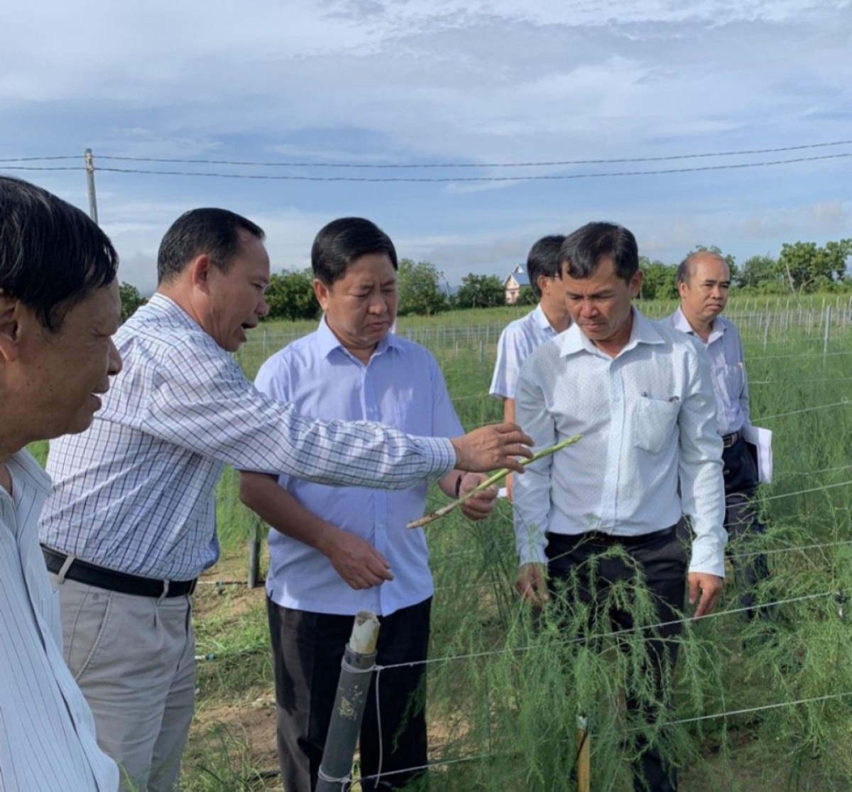 Huyen Ninh Phuoc ba drei tame pala rabung tay hijao pandar ilamo ngak kong glaong saong taong abih jaik 40ha taneh.