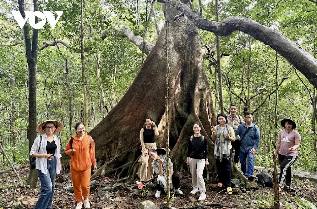 Dom bruk jirah rivang glai - tasik di Côn Đảo jeng dui pachreih hu tuai damuai