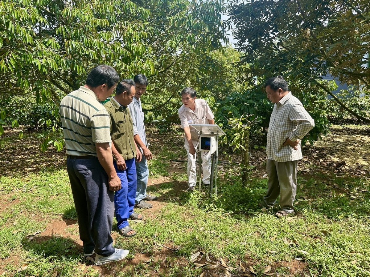 Mĭnh pơgar sầu riêng pơm kơmăy hơgei, pơyua ăn tơruih đak păng săy phŏng kơdih