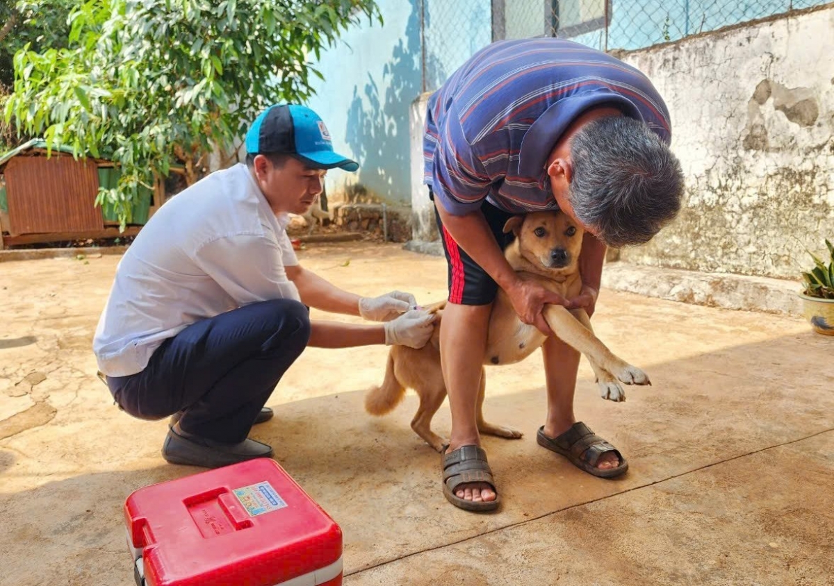 Djop tơring glông pơtrut brơi tlâ̆o vaccine pơgang klin hlô mơnong rông