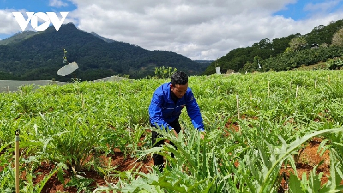 Urang Ndang bangsa takik nao dahlau dalam bruk ngak di bhum palei pala