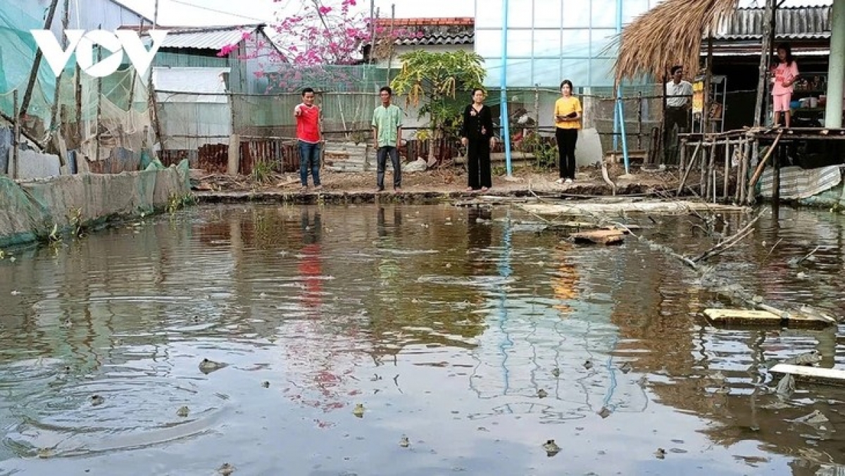 Người dân ấp Cái Mòi học hỏi phát triển mô hình nuôi cá thòi lòi - Ảnh: VOV