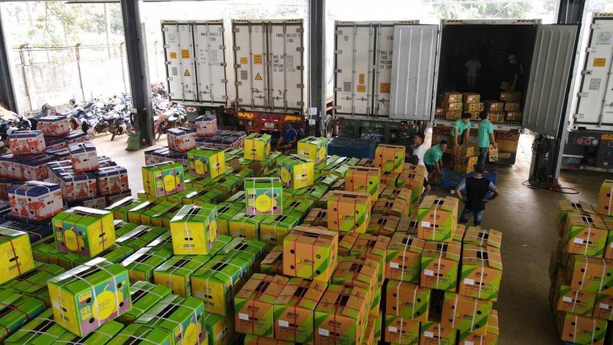 Mât uănh krêp dak si ndrŭng đah sầu riêng tăch n’gluh