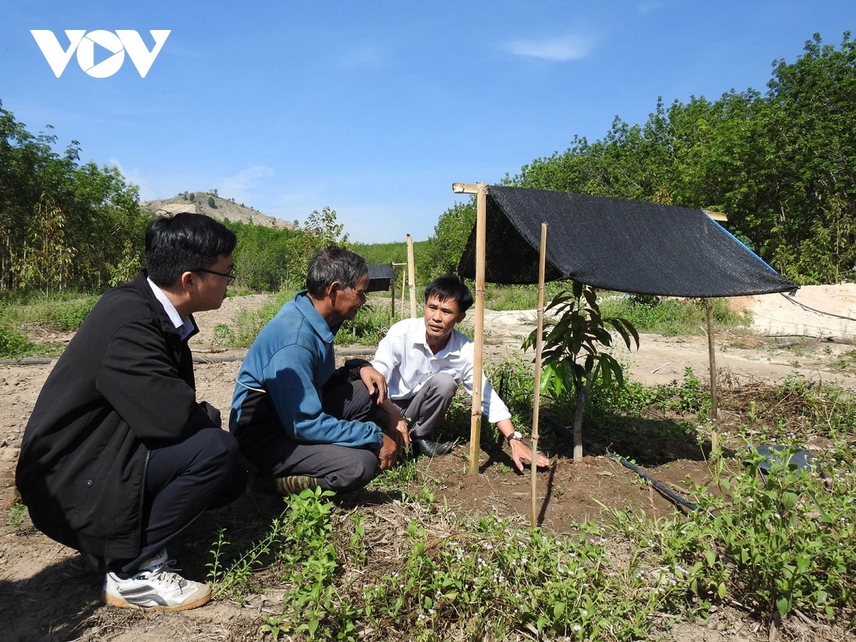 Cán bộ nông nghiệp hướng dẫn người dân cải tạo vườn tạp, trồng, chăm sóc cây sầu riêng.